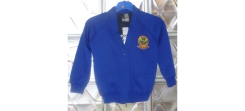 Cardigan - Bettws Primary